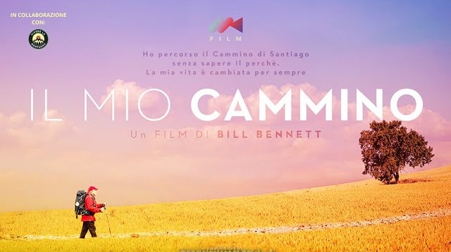 immagine novità in sala